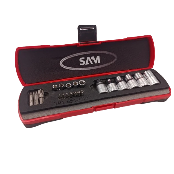 Douille 1/4'' Et 1/2'' Et Embouts Torx - Coffret De 21 SAM Outillage - STX-J21