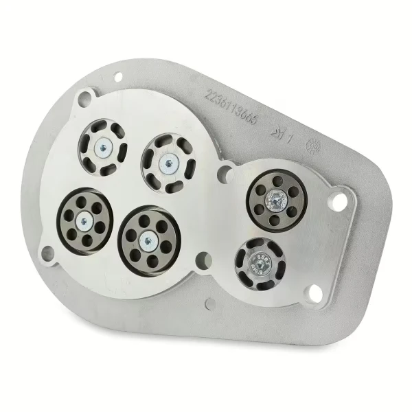 Kit plaque à clapet pour compresseur ABAC NS59S - 2236113050