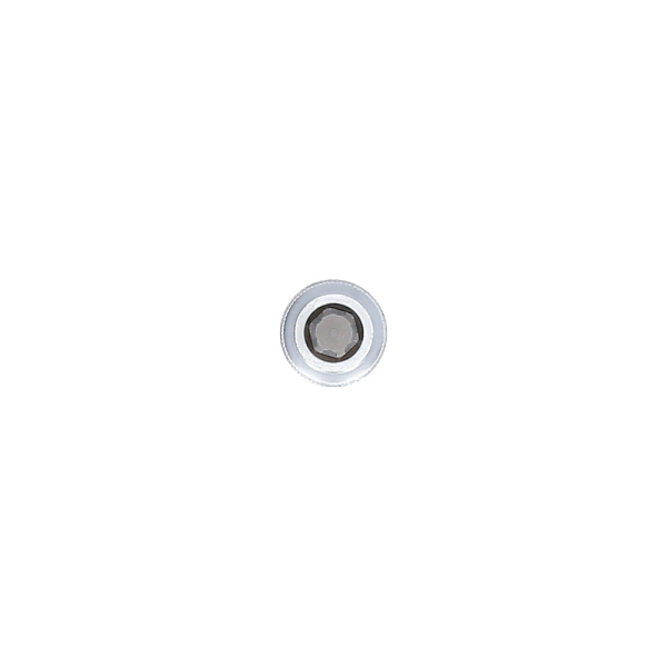 Embout Polydrive 1/2'', L.54 mm, pour VAG BT541061 Brilliant Tools