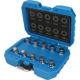 Assortiment d'antivols de roue pour BMW, 10 pcs BT691170 Brilliant Tools