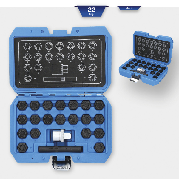 Coffret de démontage d'écrous antivols Audi , 22 pcs BT691360 Brilliant Tools