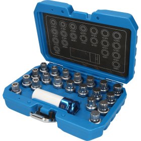 Coffret de démontage d'écrous antivols BMW, 21 pcs Brilliant Tools - BT691230 