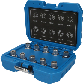 Coffret de démontage d'écrous antivols BMW, 10 pcs Brilliant Tools - BT691290 