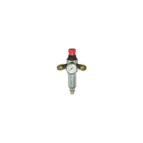 Réducteur de pression réglable avec manomètre 3/8" M double sortie ABAC 8973005916