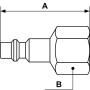 Embout fileté femelle cylindrique-IRP 066101-Prevost