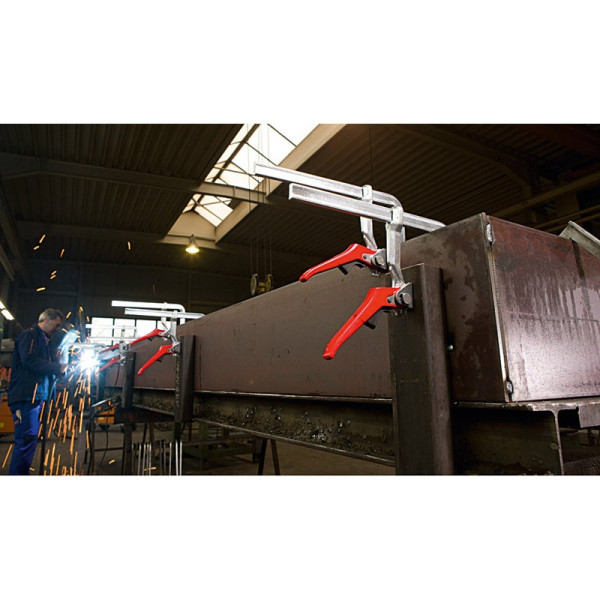 Presse à serrage rapide Ouverture 800/120 mm BESSEY