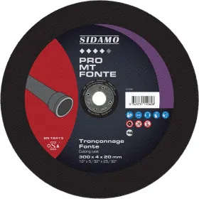 LOT DE 10 DISQUES PRO MT FONTE 300MM ALÉS. 20MM - SIDAMO