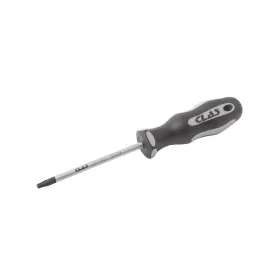 Tournevis torx t10x100