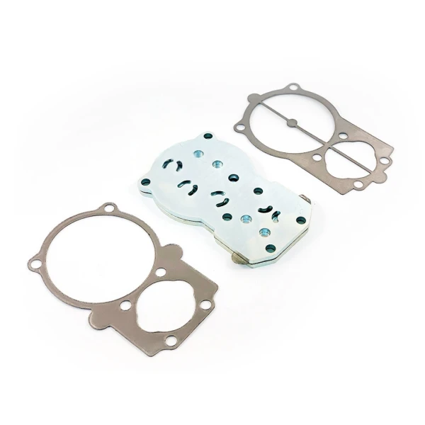 Kit plaque porte-clapet pour B5900 ABAC - 2236112801