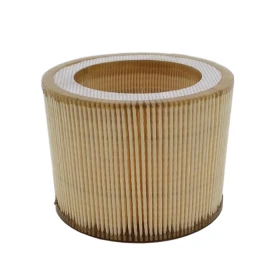 Filtre à air pour Spinn 5.5 - 7.5 - 11 C55 ABAC - 6211473950